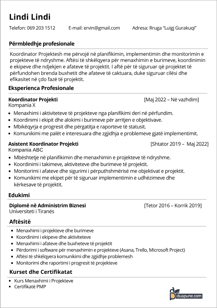 Koordinator projekti.png